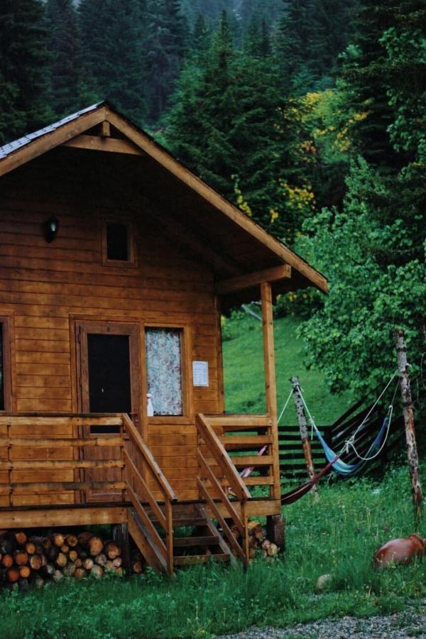 Mountain Cabins メスティア エクステリア 写真
