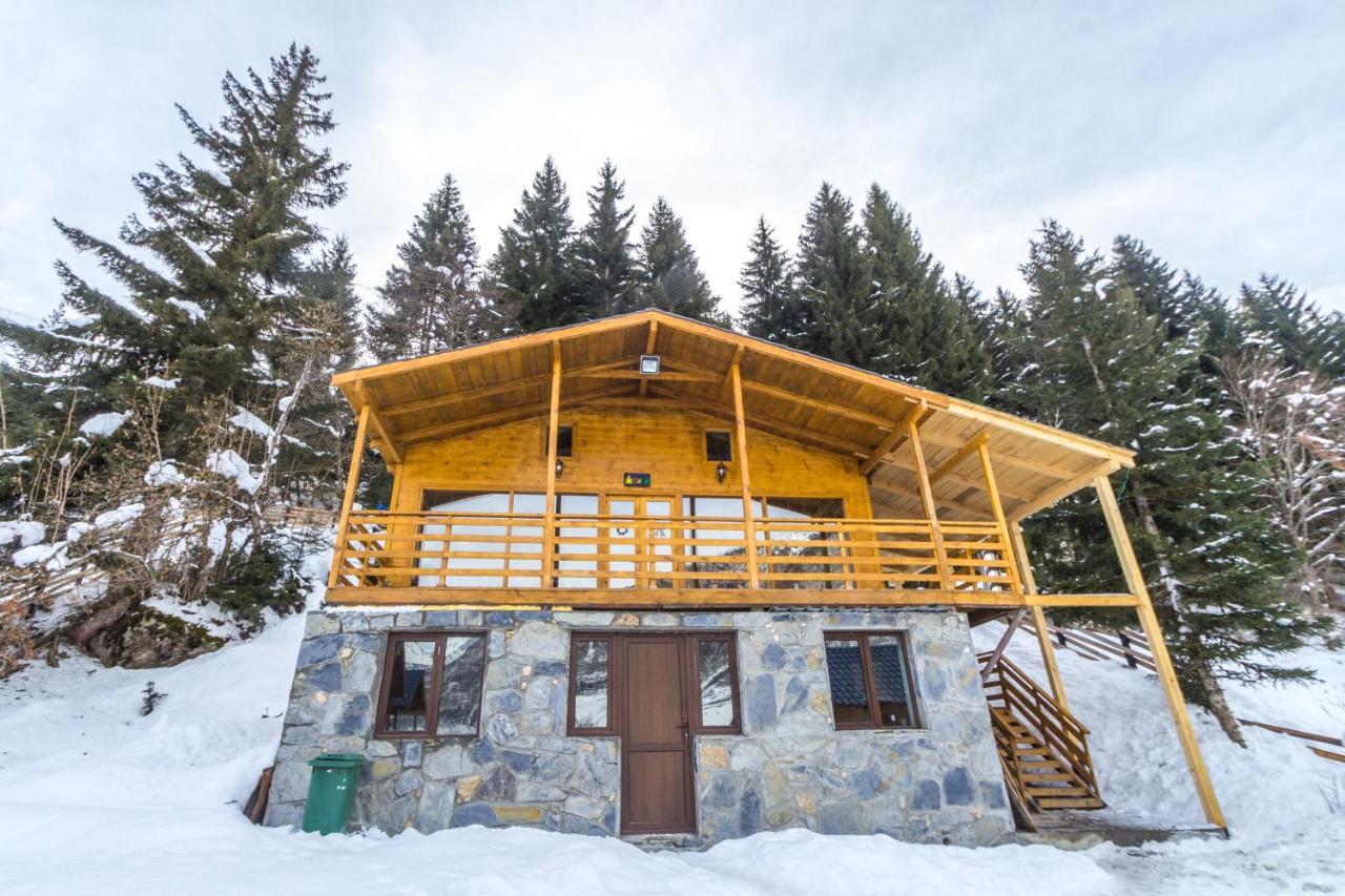 Mountain Cabins メスティア エクステリア 写真