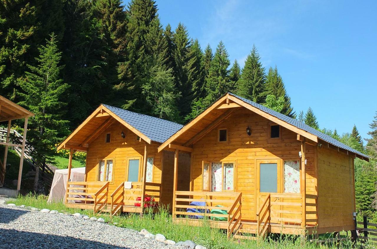Mountain Cabins メスティア エクステリア 写真